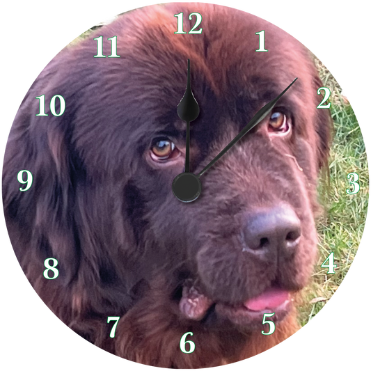 Newfoundland Clock 6