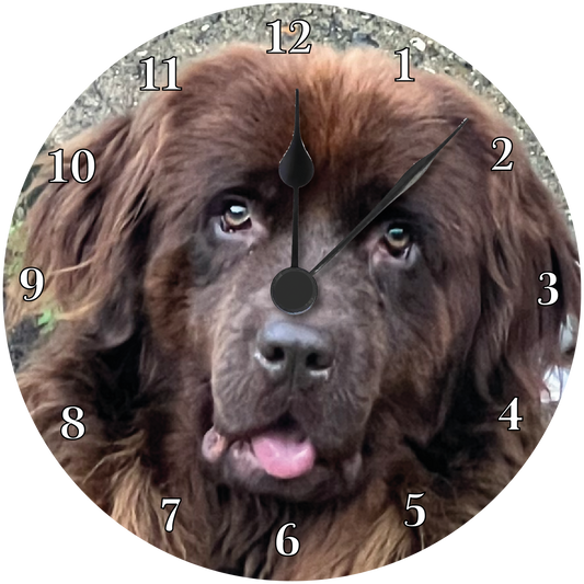 Newfoundland Clock 2