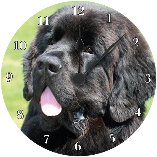 Newfoundland Clock 3