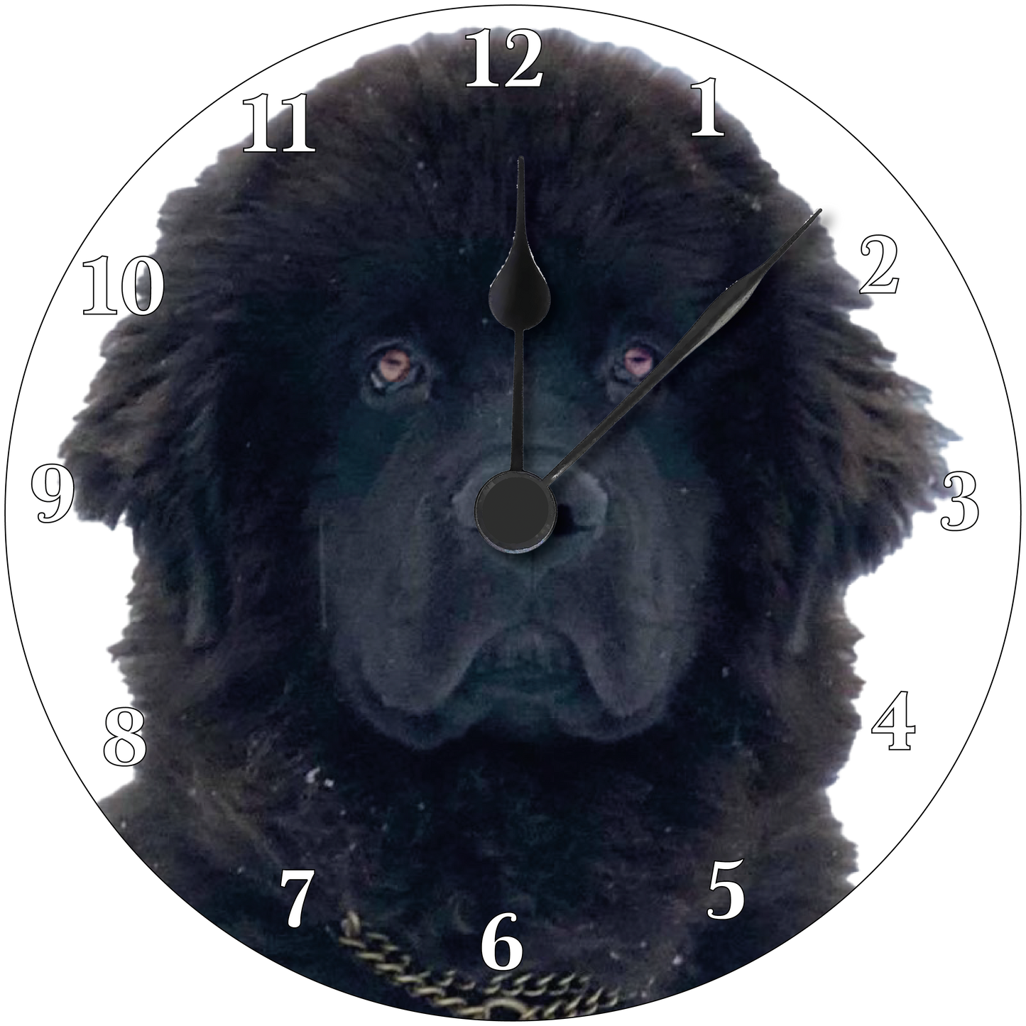 Newfoundland Clock 5