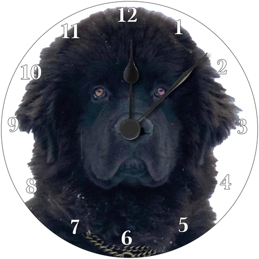 Newfoundland Clock 5