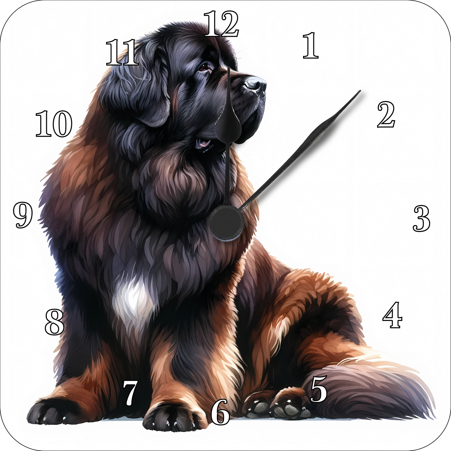 Newfoundland Clock Artistic 9