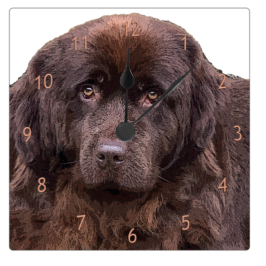 Newfoundland 230mm Square Clock