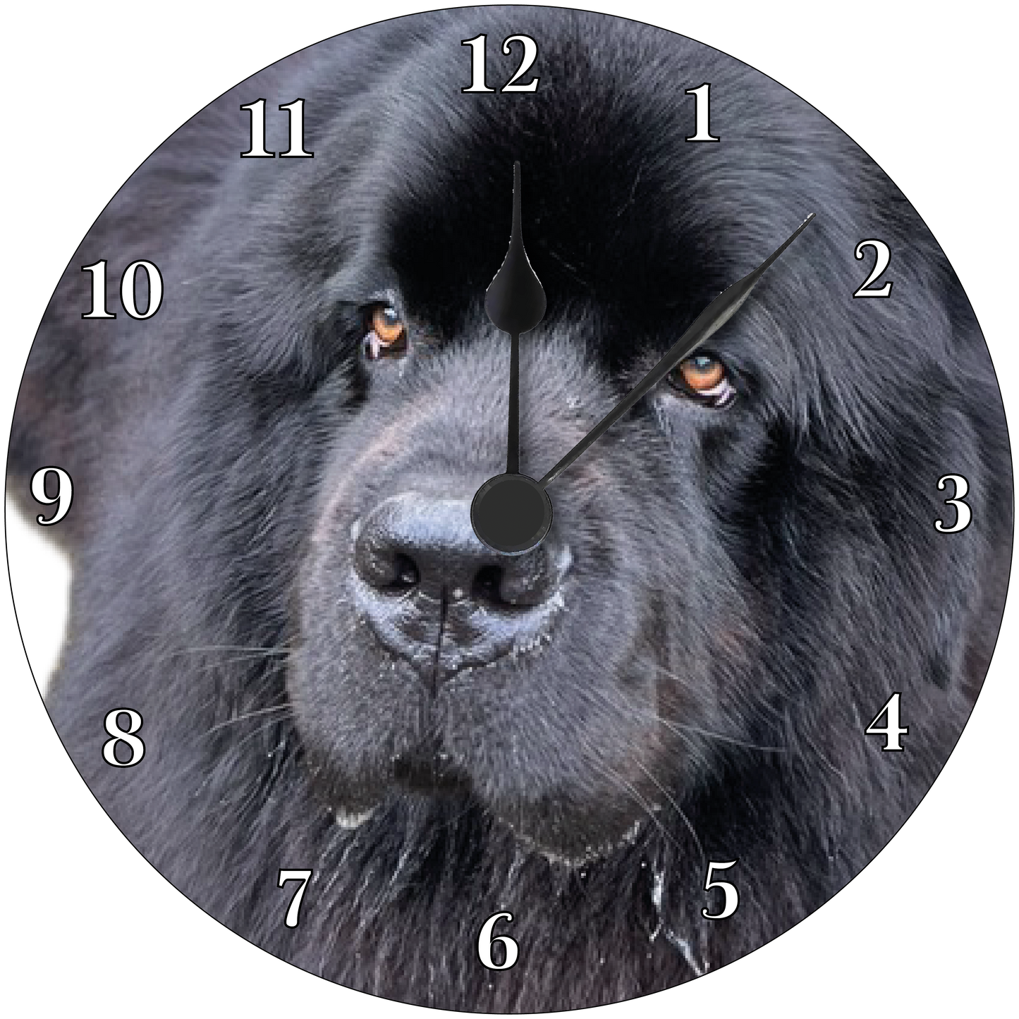 Newfoundland Clock 1