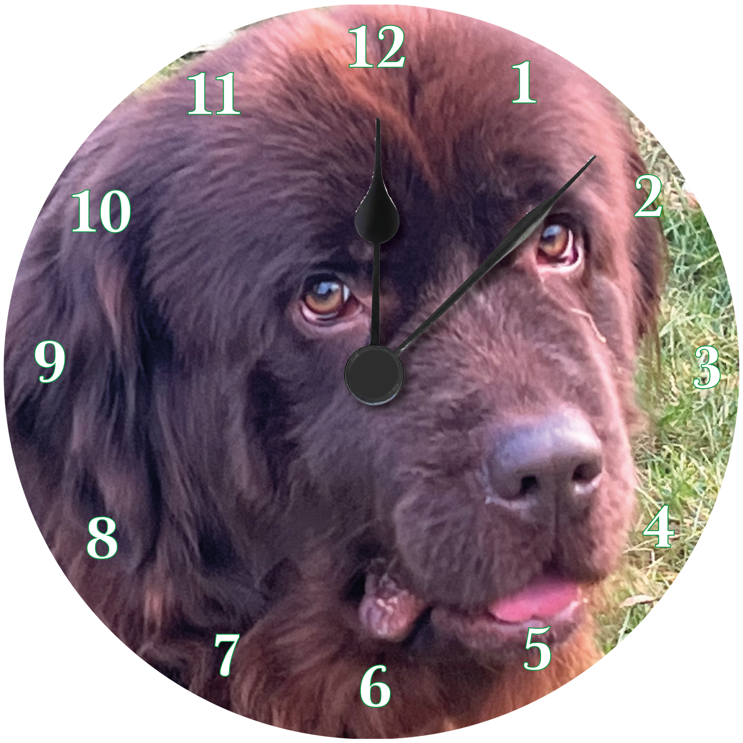 Newfoundland Clock 6
