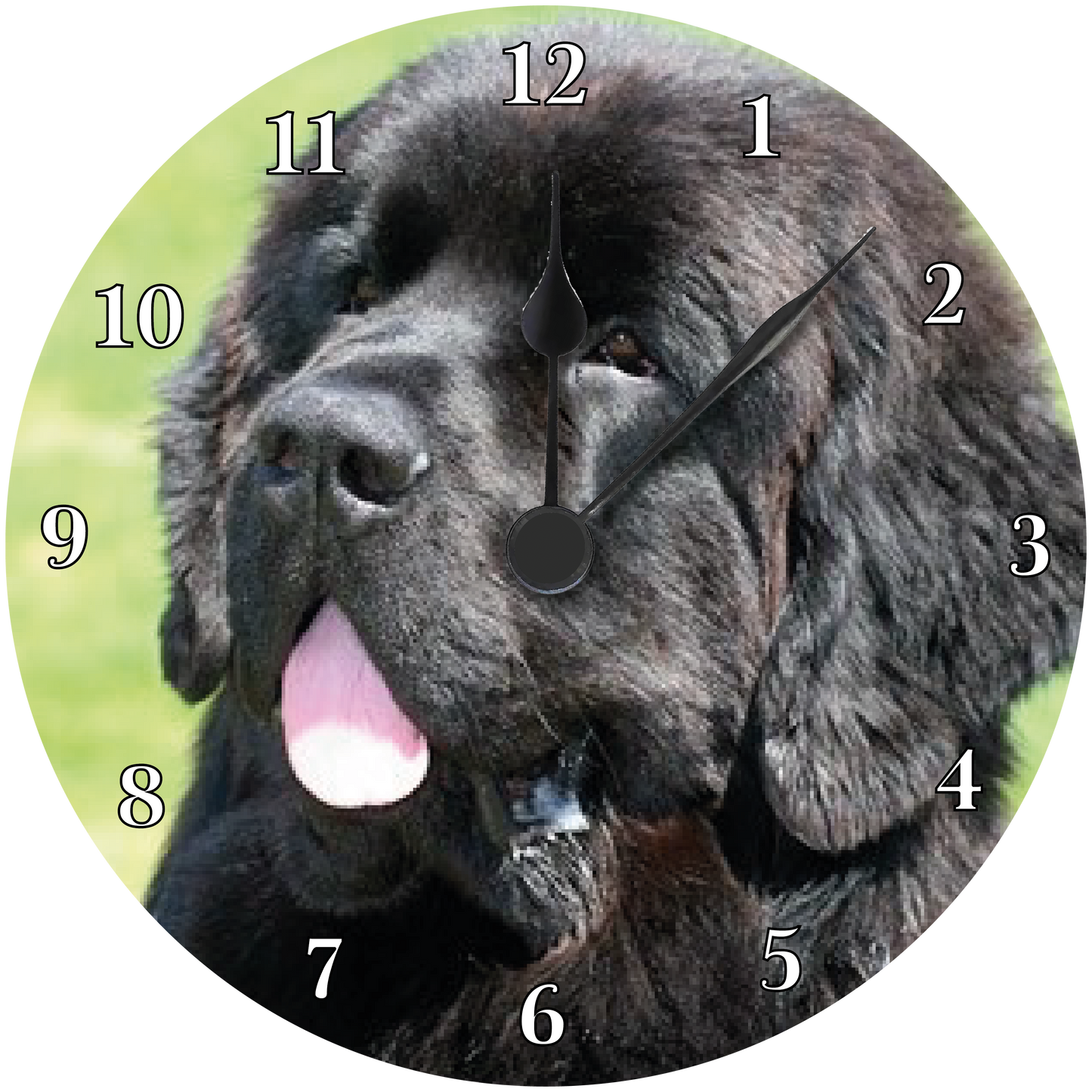 Newfoundland Clock 3