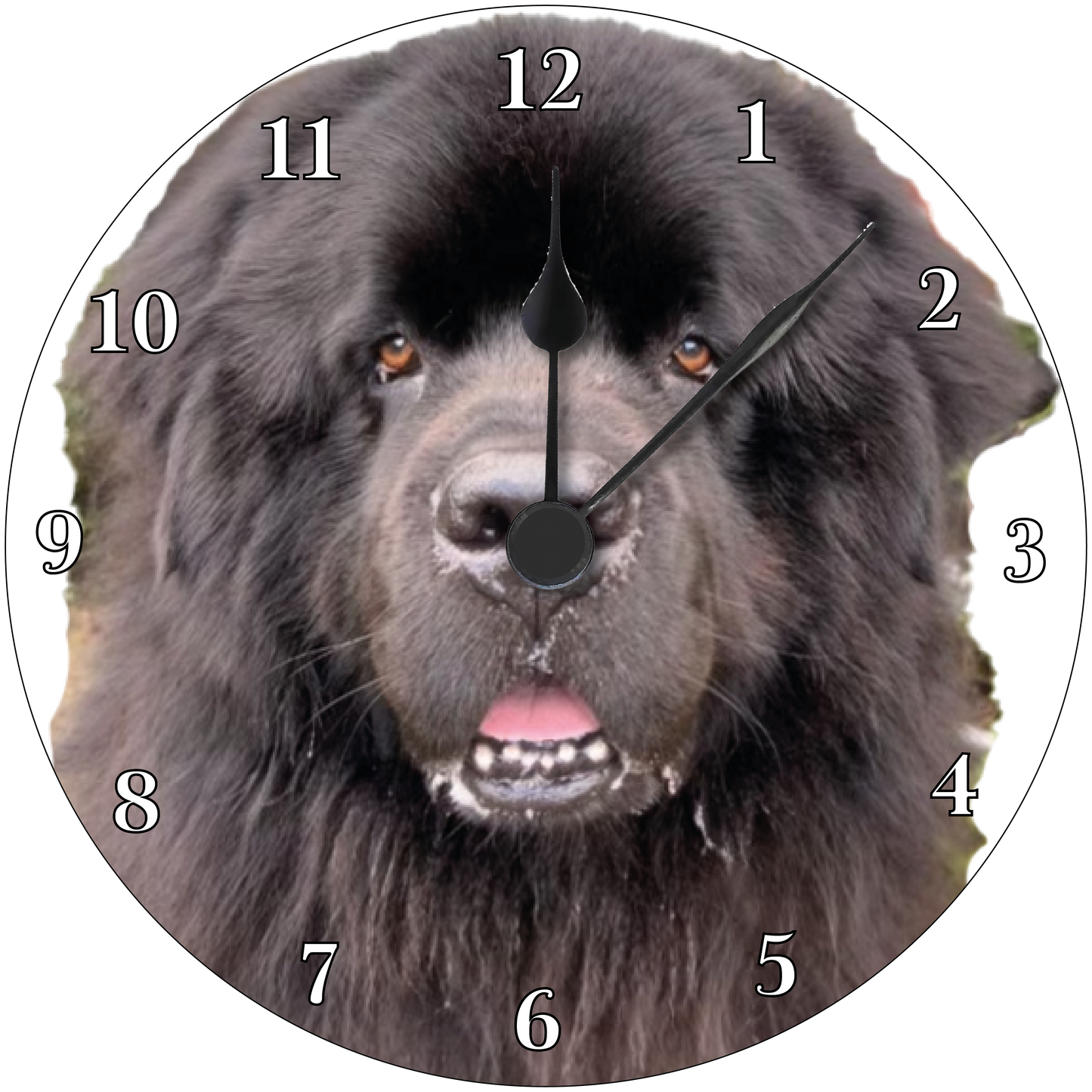 Newfoundland Clock 4