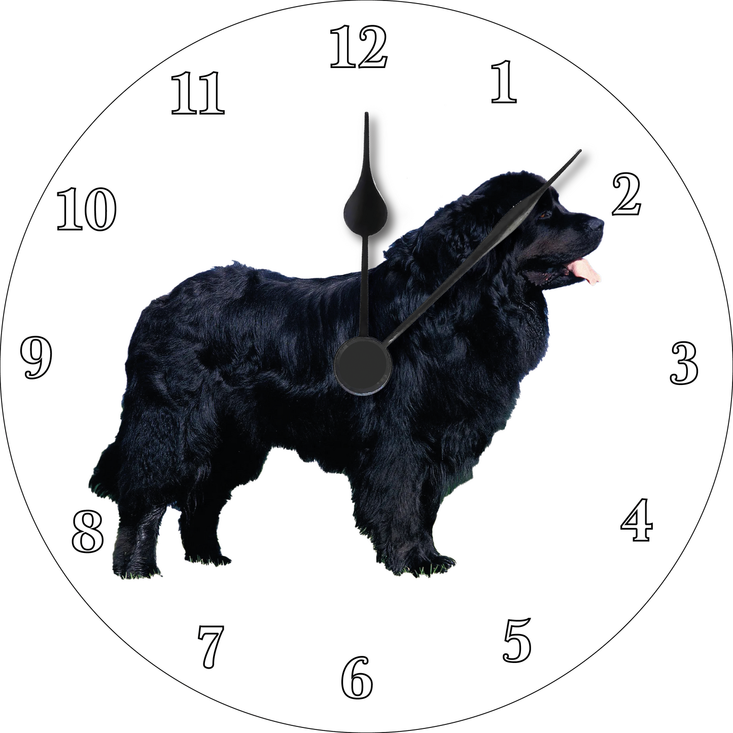 Newfoundland Clock 8